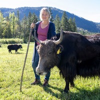 Andrea Meßmer auf der Yak-Weide.