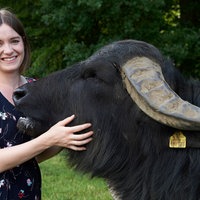 Anna mit Zuchtbulle Ivo