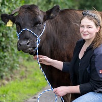 Delia Bögel mit einem Wagyu-Rind