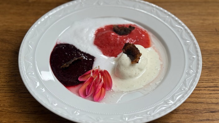 Frozen Joghurt, Fruchtsorbets 