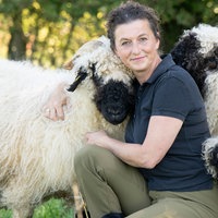 Gisela Elfinger mit Schwarznasenschafen