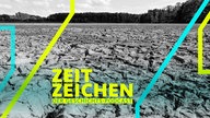 Wie vertrockneter Wüstenboden sieht der Boden eines ausgetrockneten Fischteichs in Reckahn in Brandenburg aus.