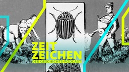Bekämpfung des Kartoffelkäfers / Plakat