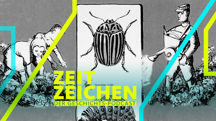 Bekämpfung des Kartoffelkäfers / Plakat