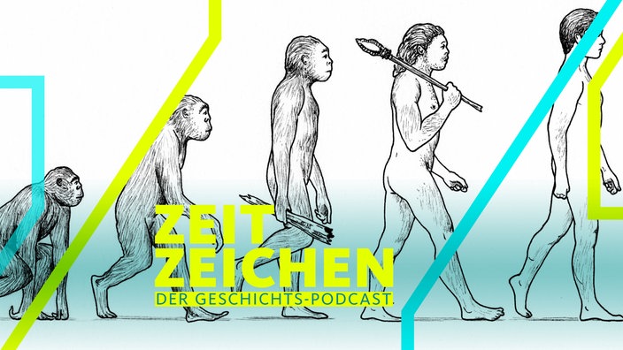 Symbolbild Evolution