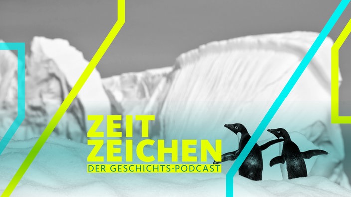 Pinguine im Eis der Antarktis