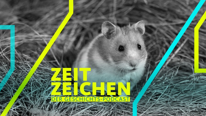 Goldhamster sitzt im Heu