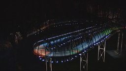 Slinky Springs to Fame 