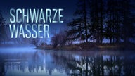 In einem stillen, geheimnisvollen und nebelverhangenen See spiegeln sich in der Dämmerung die dunklen Silhouetten hoher Bäume.