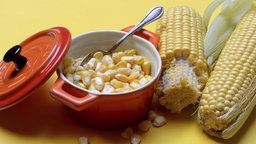 Frische Maiskörner in Topf und Maiskolben