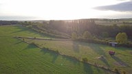 Vogelperspektive auf eine Wiese mit Schafen, eine sanft-wellige Landschaft im Morgenlicht