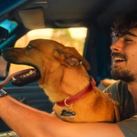 Szene aus dem Film "Caramelo": Pedro, gespielt von Rafael Vitti, sitzt lachend am Steuer eines Autos. Der Hund Caramelo sitzt mit heraushängender Zunge auf Pedros Schoß. 