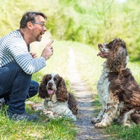 Ein Mann trainiert mit erhobenem Zeigefinger zwei Hunde auf einer grünen Wiese