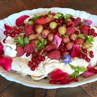 Teller mit Pavlova. Darauf sind verschiedene Beeren angerichtet. 