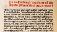 Bayerischer Landesordnung von 1516 zum Reinheitsgebot (Ausriss) 