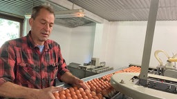 40.000 Eier werden pro Tag mit Maschine sortiert