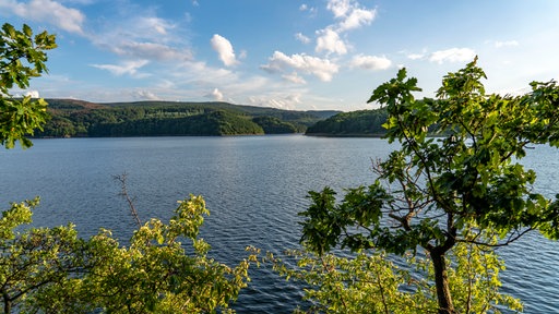 Der Rursee im Nationalpark Eifel