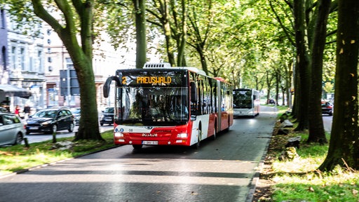 Ein Bus fährt duch eine Baumallee in Aachen