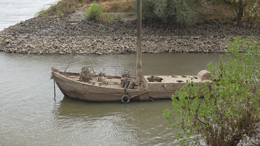 Schiffswrack Aalschokker im Rhein bei Neuss