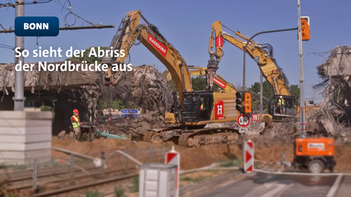 Mit Abbruchbaggern soll lärmschonend abgerissen werden