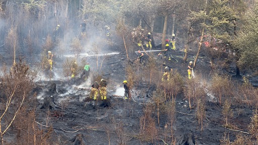 Einsatzkräfte der Feuerwehr während der Löscharbeiten des Waldbrands in Altena.