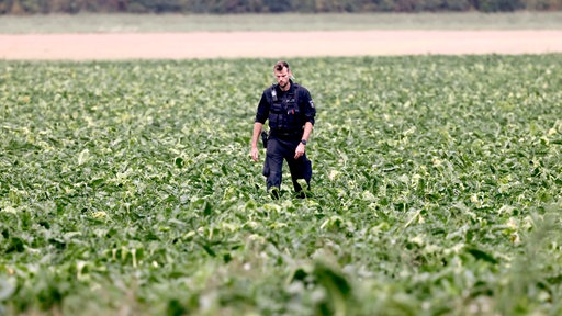 Polizist in einem Feld bei Bergheim