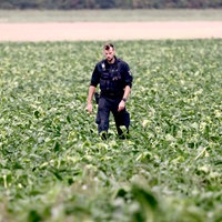 Polizist in einem Feld bei Bergheim