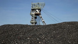 Kohlehalde, Steinkohle