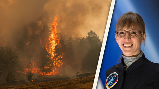 Flammen eines Waldbrandes und Porträt Insa Thiele-Eich