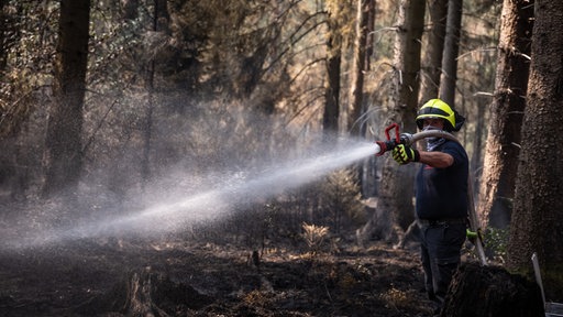 Feuerwehrmänner sind bei Nachlöscharbeiten in einem Waldstück im Hürtgenwald im Einsatz.