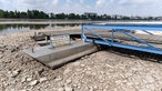 Ein Bootsanleger liegt auf dem Trockenen. Bonn, 16.07.2026.