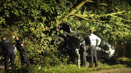 Ein großer Baum liegt auf dem schwarzen Unfallwagen