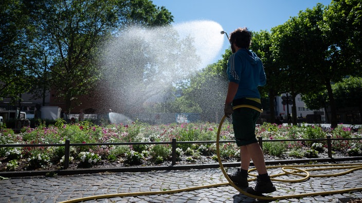 Ein Gärtner gießt die Blumen in einem Beet in der Innenstadt