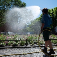 Ein Gärtner gießt die Blumen in einem Beet in der Innenstadt