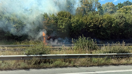 Ein Feuer lodert in einer Böschung
