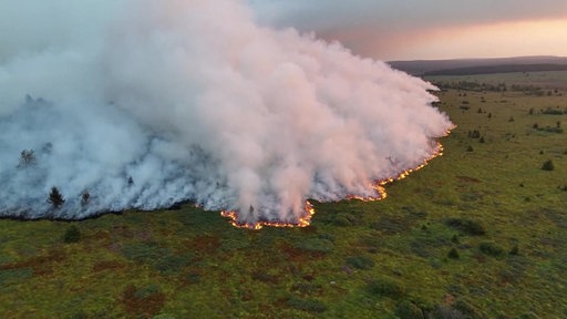 Der Waldbrand im Hohen Venn aus der Luft