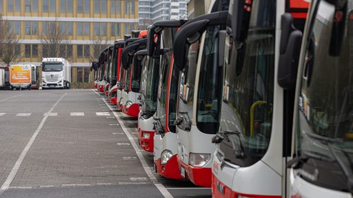Linienbusse stehen auf einem Parkplatz