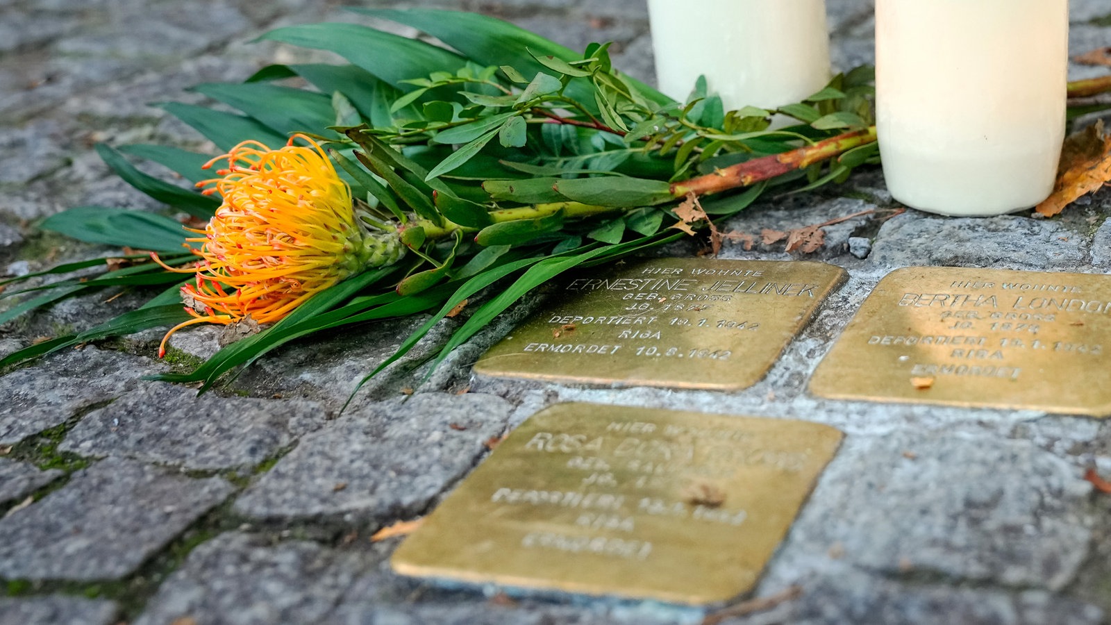 Berlin, drei sog. Stolpersteine mit Trauerkerzen und Blume in der Schoenhauser Allee.