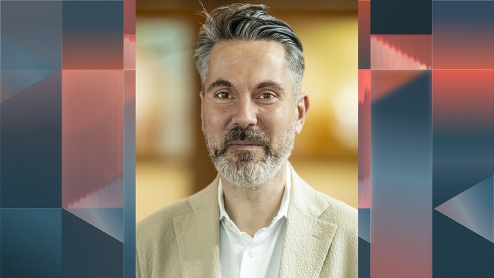 Fabio De Masi, BSW