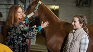 30 Jahre Lindenstraße dritte Dekade
