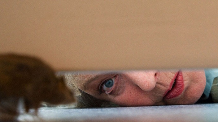 Helga (Marie-Luise Marjan) blickt unter den Schreibtisch und traut ihren Augen nicht: Im Reisebüro tummeln sich die Mäuse!