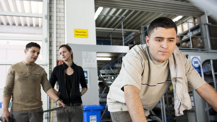 Jack, Enzo und Orkan stehen in der Werkstatt