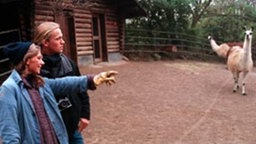 Julia, Klaus und die beiden Lieblingslamas.