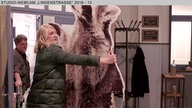 Wochenschau Nr. 33|2018