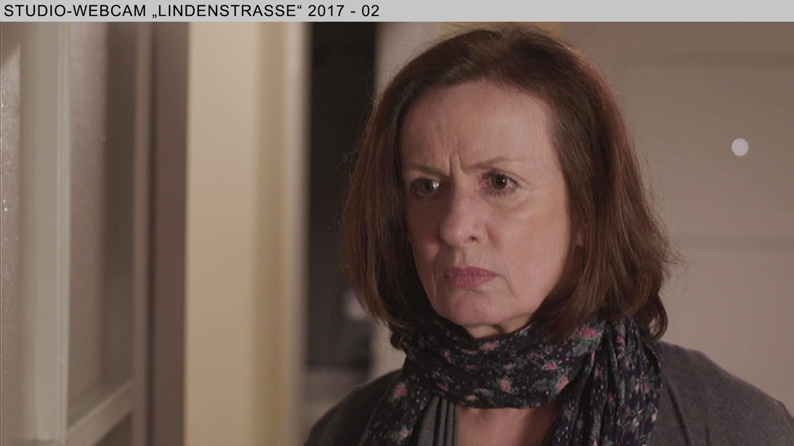 Wochenschau Nr. 3|2017