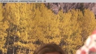 Wochenschau 21.2016