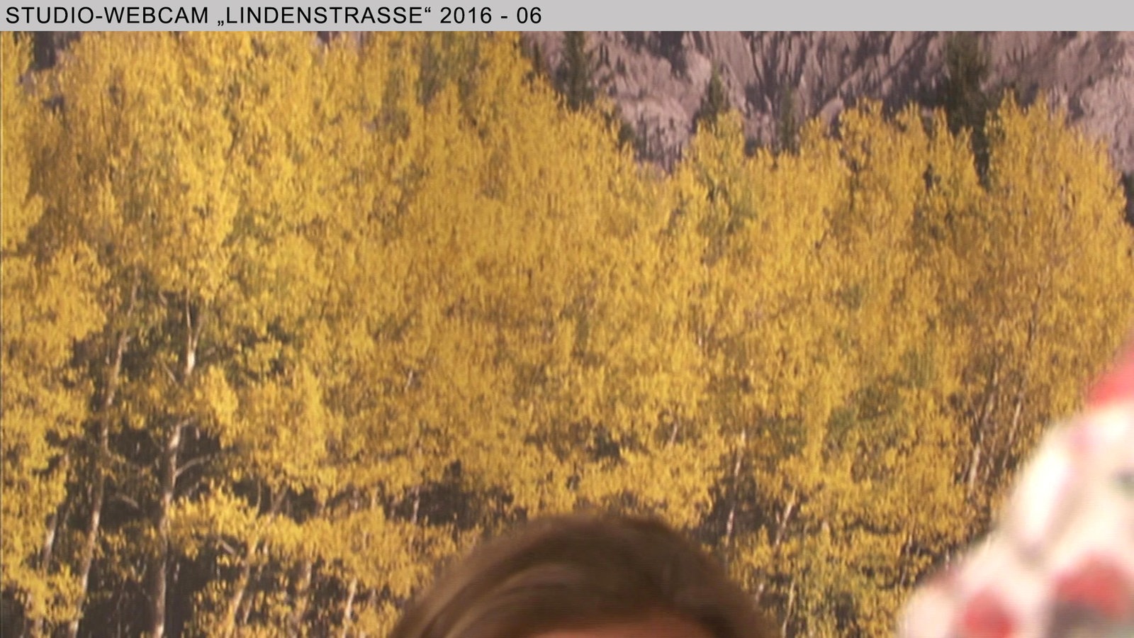 Wochenschau 21.2016
