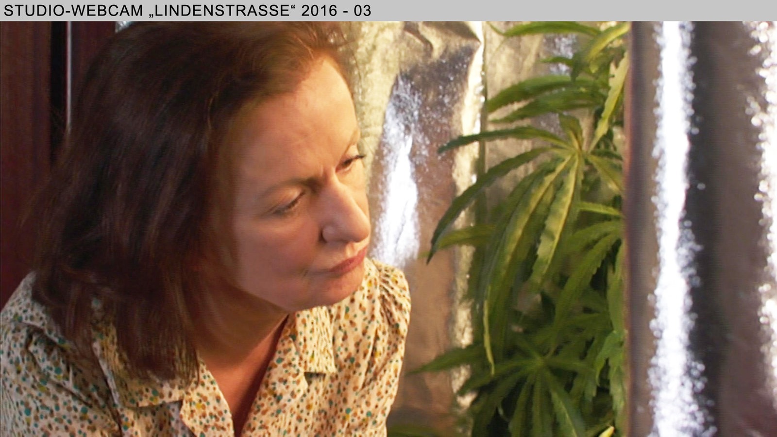 Wochenschau 11/2016