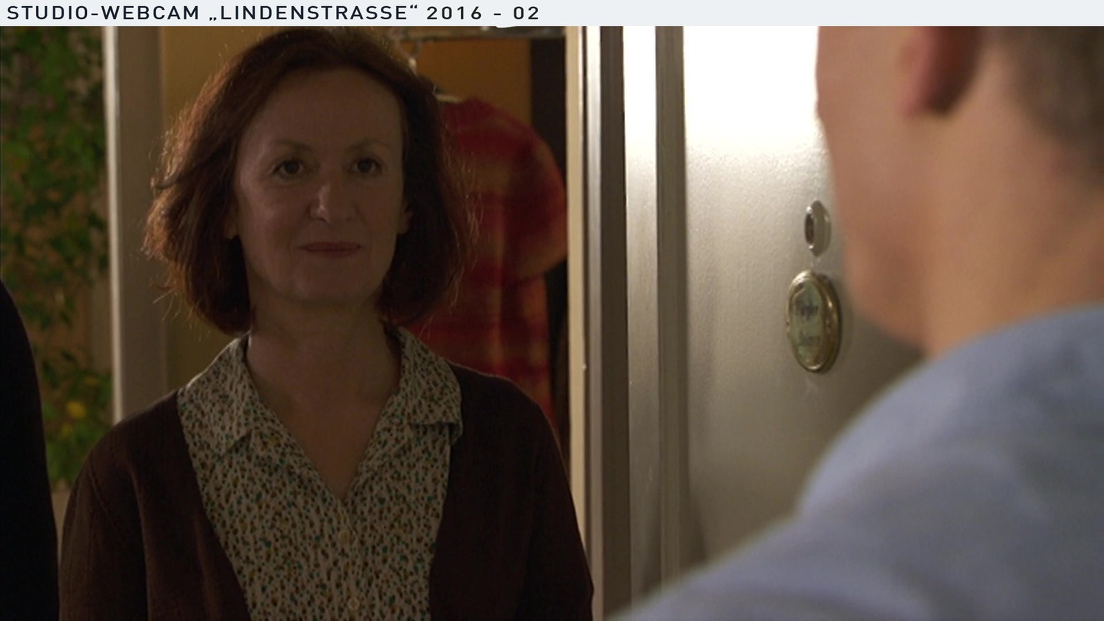 Webcambilder Wochenschau Februar 2016 KW5