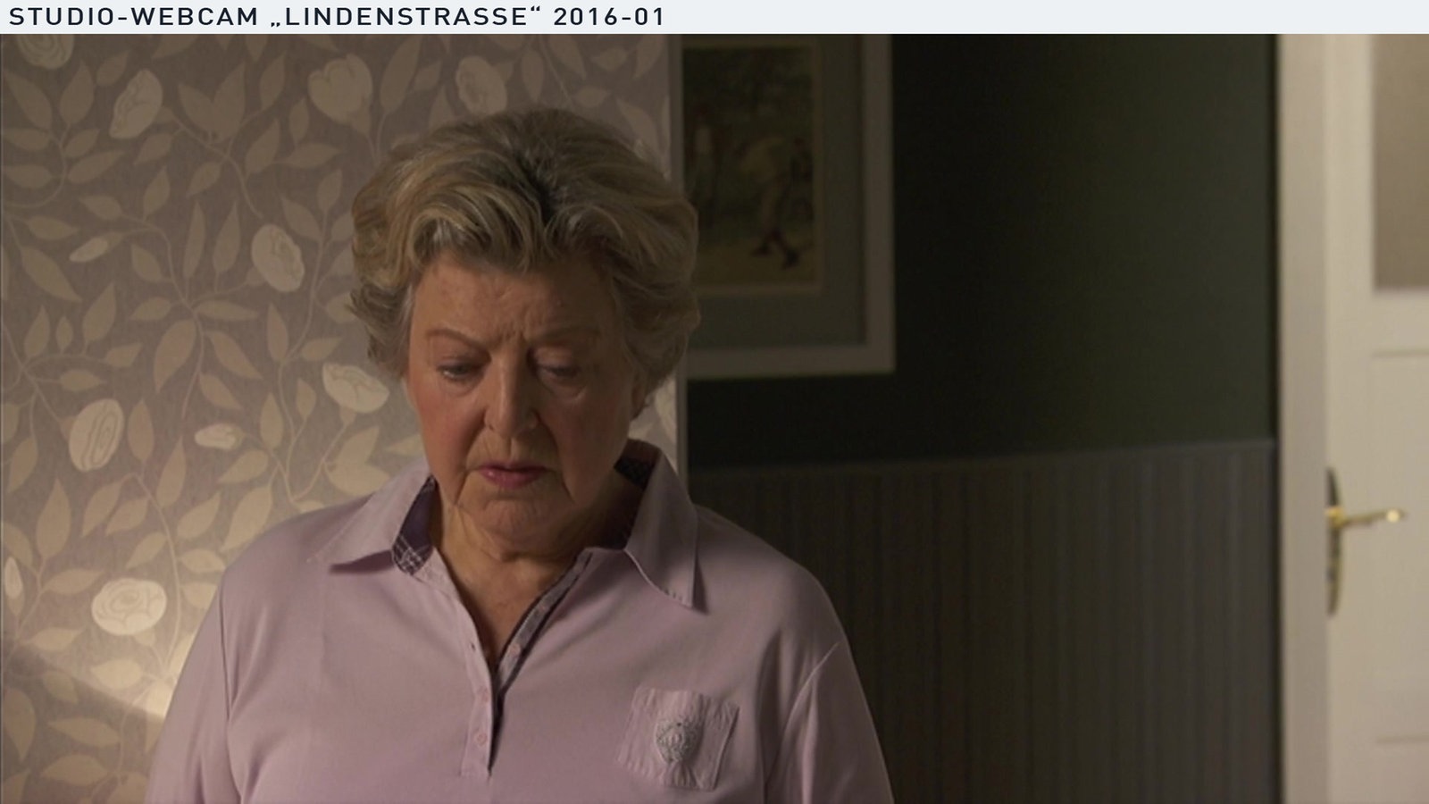 Webcambilder Wochenschau Januar 2016 KW3